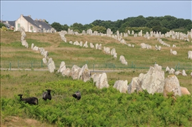 Carnac-Le Menec